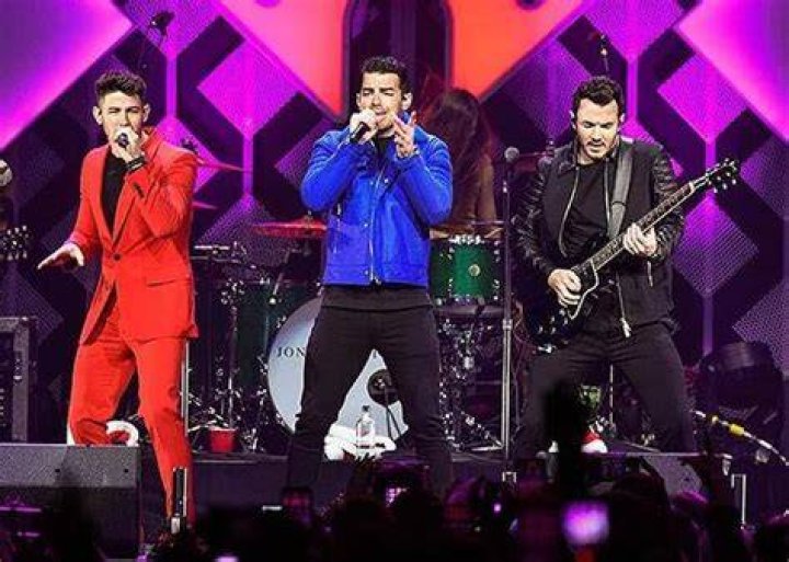 Joe Jonas Kindly Helps Fallen Fan In Audience After Broadway Concert