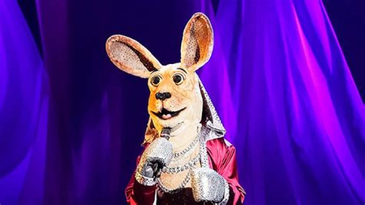 Jordyn Woods Is The Kangaroo On ‘The Masked Singer’ — Recap – Hollywood Life