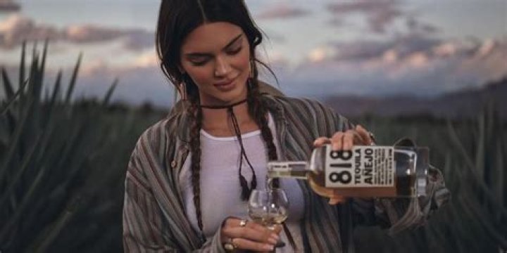 Kendall Jenner Lounges In Brown Bikini While Promoting 818 Tequila: Photos