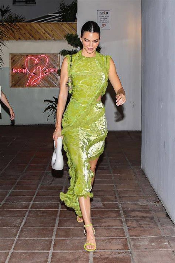 Kendall Jenner Wears Insane Lime Green Outfit As She Arrives In Cannes: Love Or Loathe?