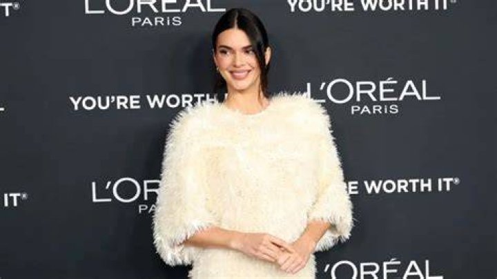 Kendall Jenner Wows In Sexy Sheer Dress For Night Out In NYC: Pics – Hollywood Life