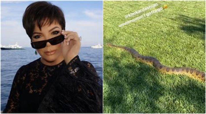 Kris Jenner Freaks Over Huge Anaconda In Kim Kardashian’s Backyard: ‘I Gotta Go’ — Watch