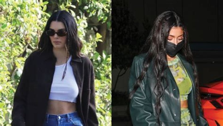 Kylie & Kendall Jenner Wear Crop Tops For Night Out & Dog Walking – Hollywood Life