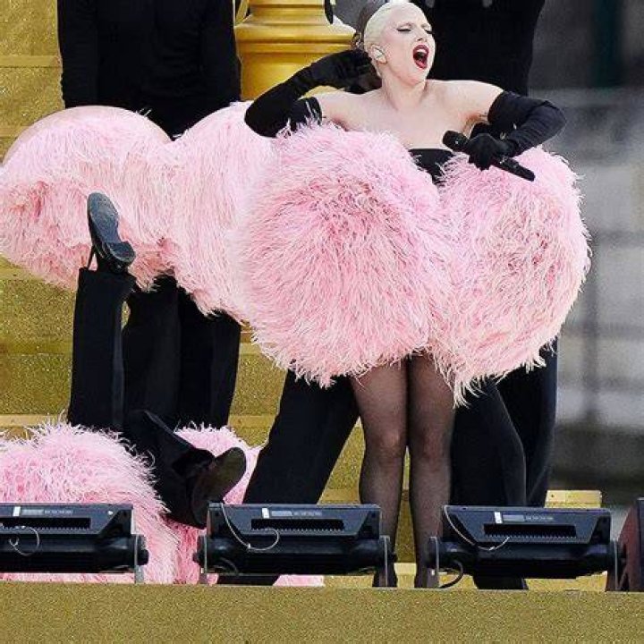 Lady Gaga Carried To Photoshoot In Elaborate Pink Gown — See Video – Hollywood Life