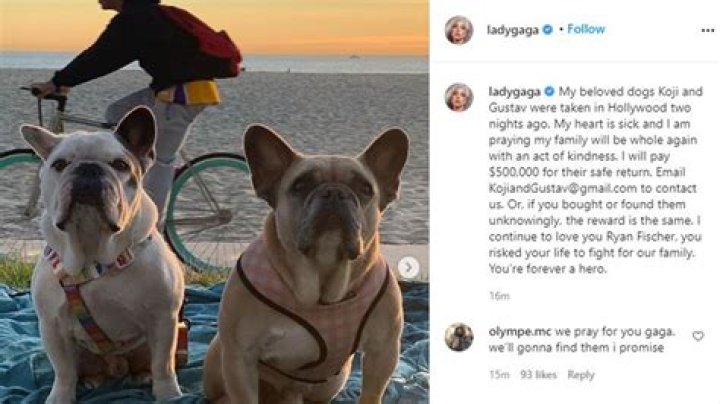 Lady Gaga Pleads For ‘Beloved Dogs’ To Be Returned In First Statement Since Armed Kidnapping