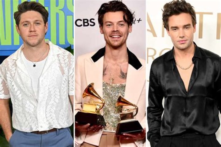 Liam Payne Shows Off Wild Quarantine Beard While Trying To ‘Chat’ With Harry Styles On TikTok— Watch