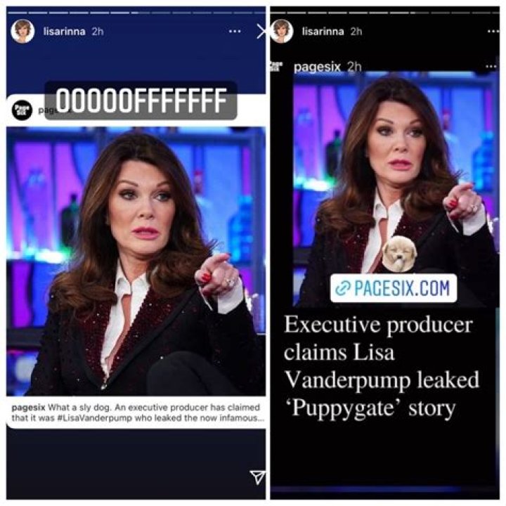 Lisa Vanderpump Leaked ‘Puppygate’ Story, Says RHOBH Exec Producer – Hollywood Life