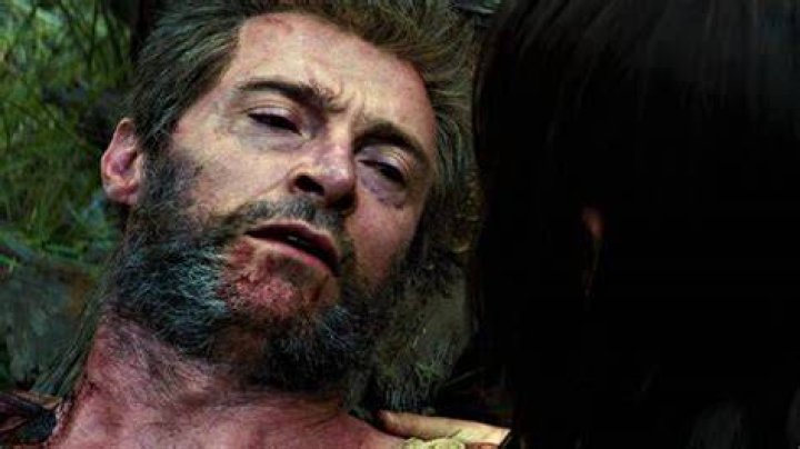 Logan’s Death Explained & Season 5 Scoop – Hollywood Life