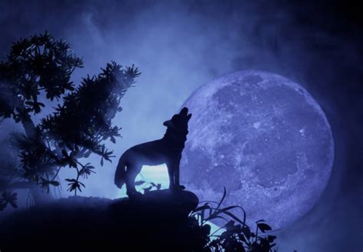 LOVECRAFT’s ‘Awooo’ Is The Halloween Bop That’ll Make You Want To Howl At The Moon
