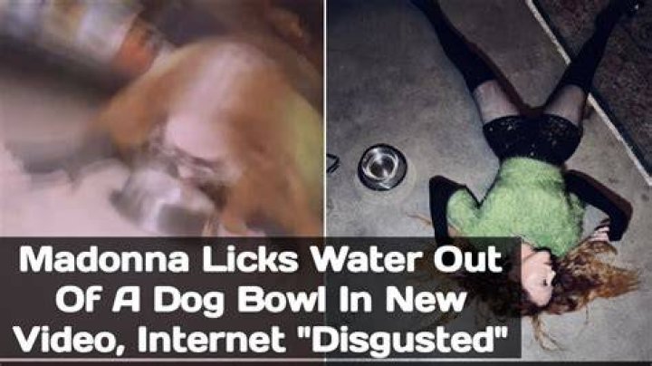 Madonna Licks Water Out Of A Dog Bowl In Surreal New Video – Hollywood Life