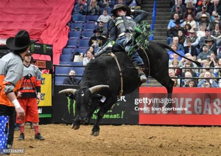 Mason Lowe — Photos