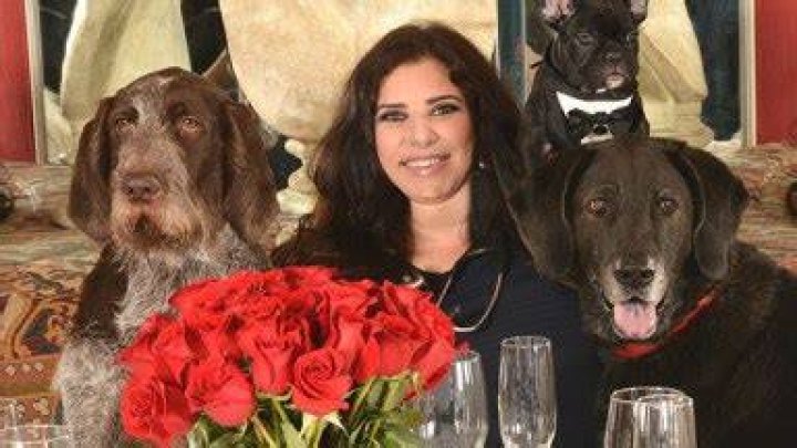 Meet Celebrity Vet To The Stars Dr. Cindy Bressler