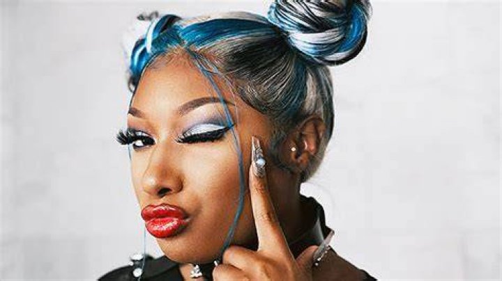 Megan Thee Stallion’s 1st Concert Since Shooting On Tidal: Video – Hollywood Life