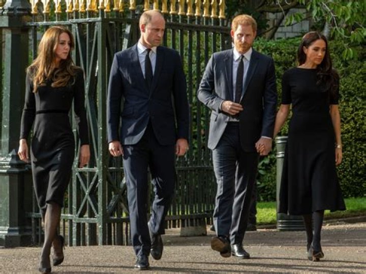 Meghan, Harry, Kate & Will — PICS