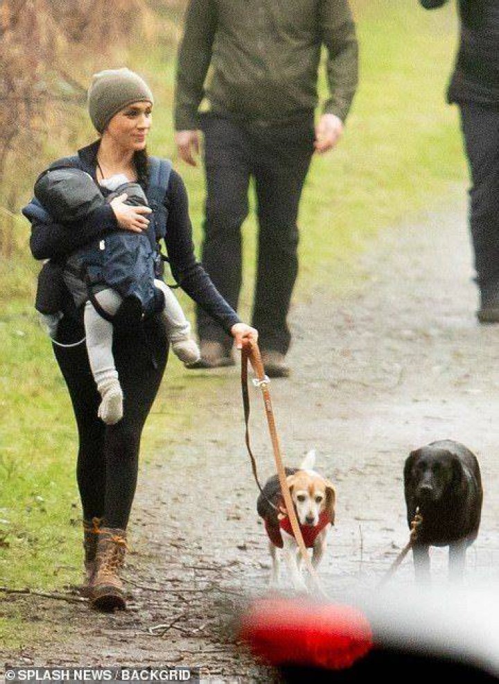 Meghan Markle Carrying Archie & Walking Dogs On Hike In Vancouver — Pics – Hollywood Life