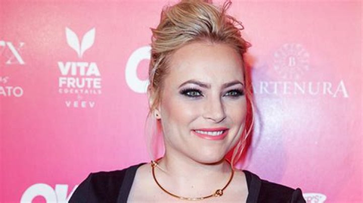 Meghan McCain Explains Why She’s Not Friends With Exes On ‘The View’ – Hollywood Life