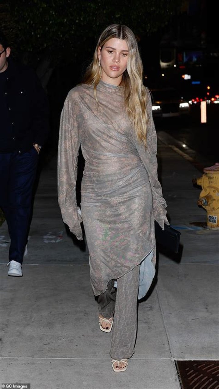Metallic Pants: Sofia Richie, Bella Hadid & More Stars Looking Fierce In The Bold Bottoms