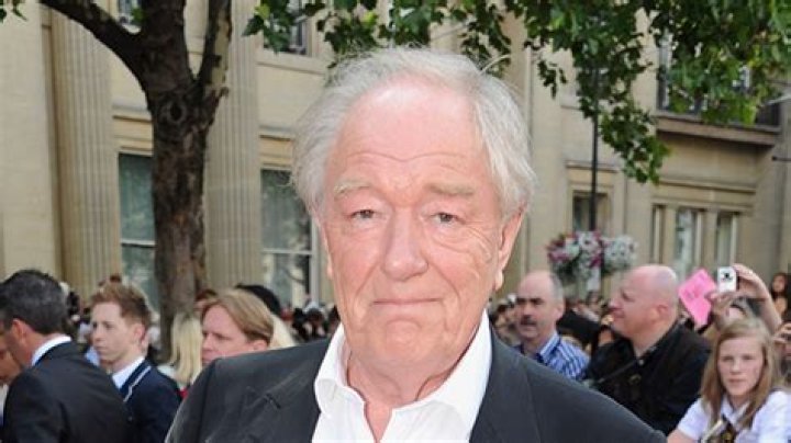 Michael Gambon, Richard Harris, and More – Hollywood Life