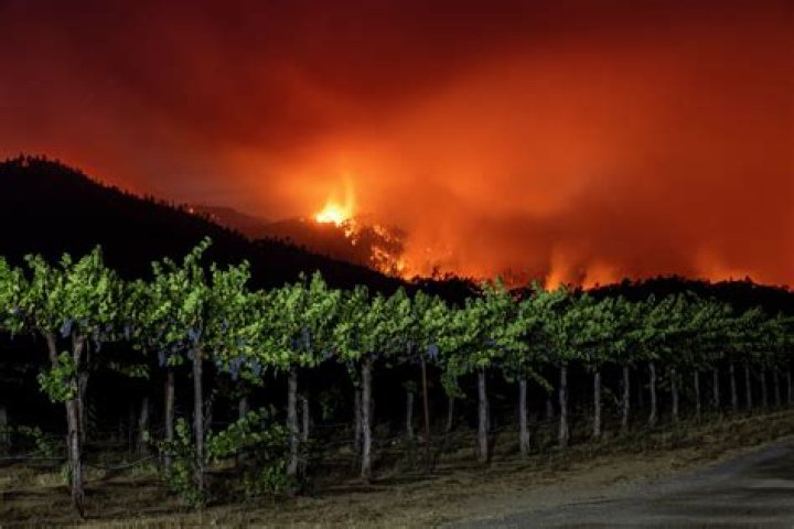 Napa Fire — PICS