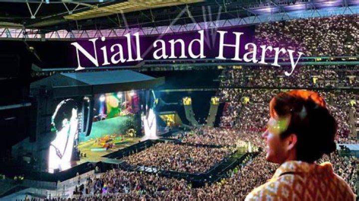 Niall Horan At Harry Styles Concert In London: Watch – Hollywood Life