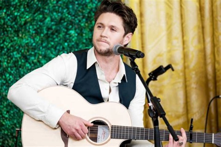 Niall Horan Performs ‘Nice To Meet Ya’ & ‘Put A Little Love On Me’ – Hollywood Life