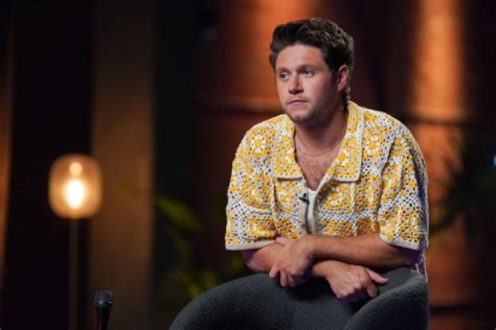 Niall Horan The Guy Behind ‘Don’t’? New Interview Nearly Confirms – Hollywood Life