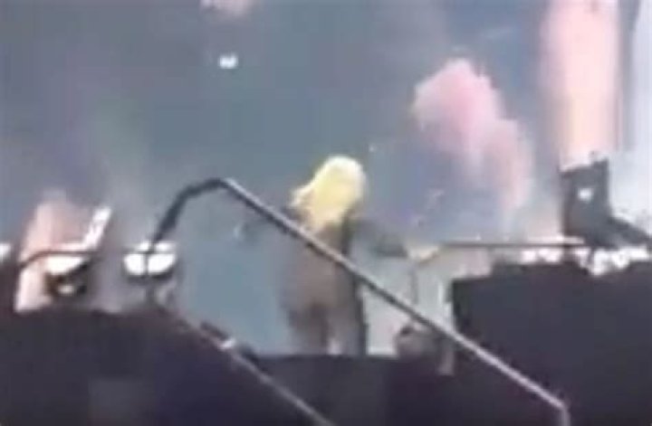 Nicki Minaj Walks Off Stage After Fan Takes Over Her Rap Verse — Watch