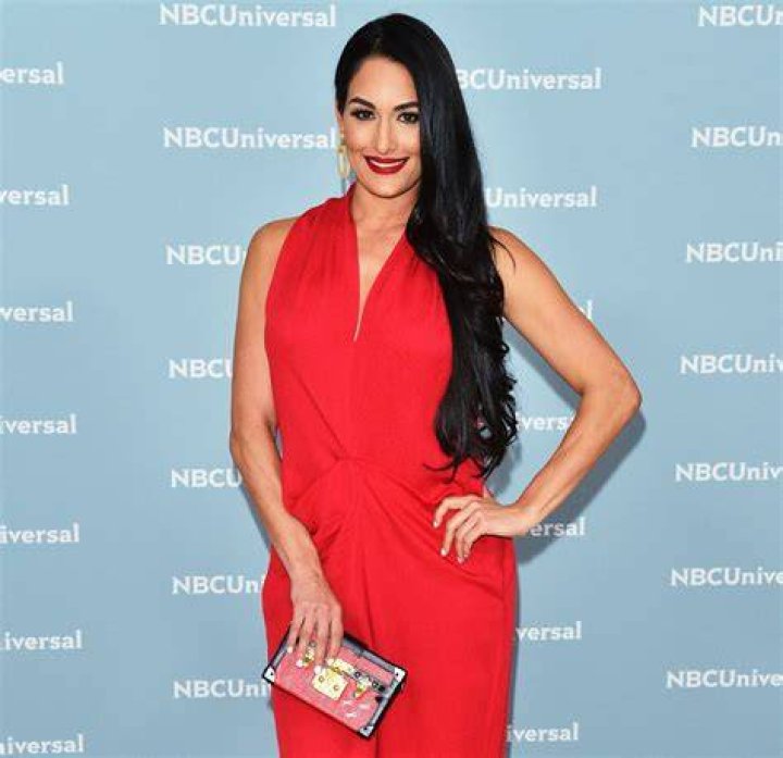 Nikki Bella Reveals She’s ‘Never Cried’ So Many ‘Happy Tears’ Since Giving Birth To Her 1st Child — See Pic