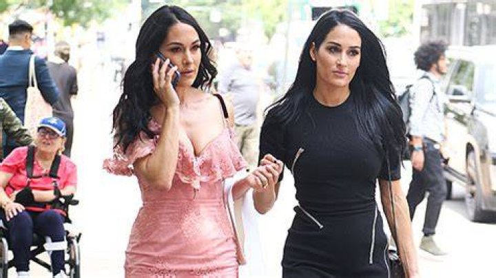 Nikki Bella & Sis Brie Bella Are ‘Terrified’ Of Coronavirus While They’re Pregnant