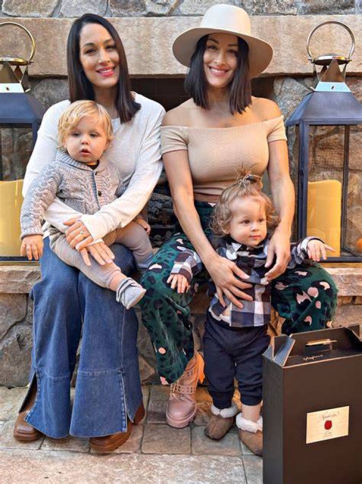 Nikki & Brie Bella Proudly Show Off Their Post-Baby Bodies In Intimate New Selfies — See Pics