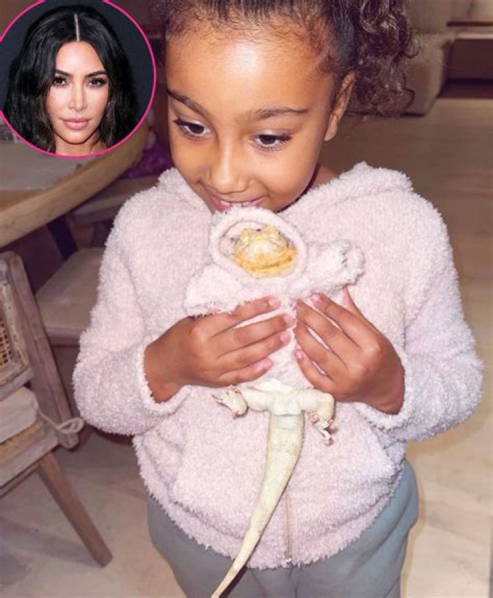 North West’s Lizard Wears Mom Kim Kardashian’s SKIMS Collection In New Pics: ‘Kinda Cute’