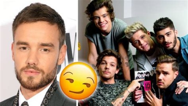 One Direction Fans Freak As Liam Payne Teases Possible Reunion After Call With Harry Styles