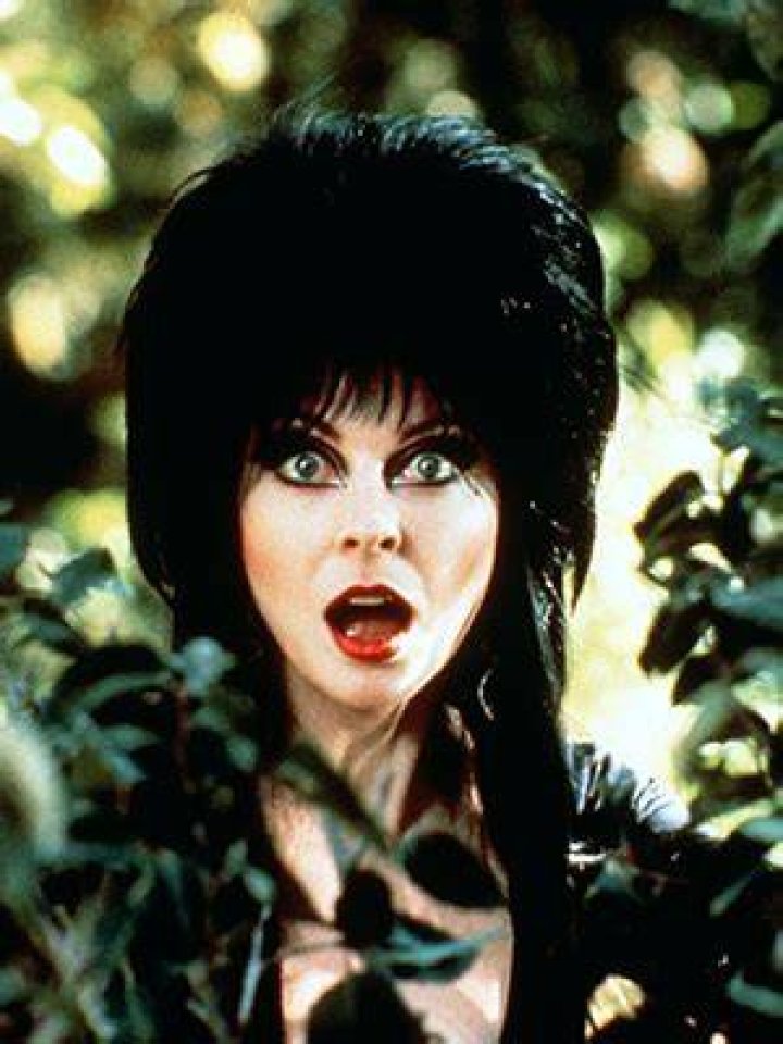 Photos Of ‘Elvira’ – Hollywood Life