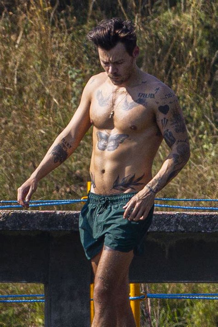 [PIC] Harry Styles Shirtless In Mexico — Relaxing Before North American Tour – Hollywood Life