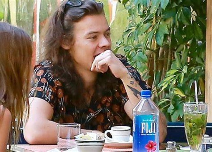 [PICS] Harry Styles’ Date With Meredith Winston At Habana Cafe – Hollywood Life