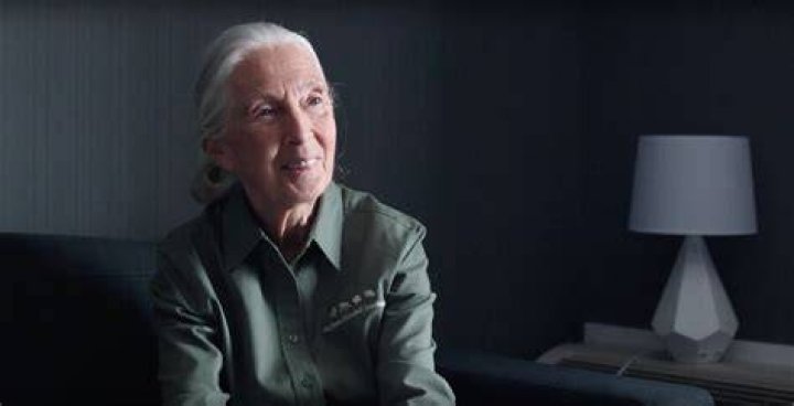 Pics Of The Famous Primatologist – Hollywood Life
