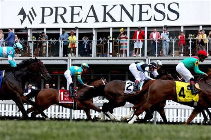 Preakness Stakes 2015 — Pics