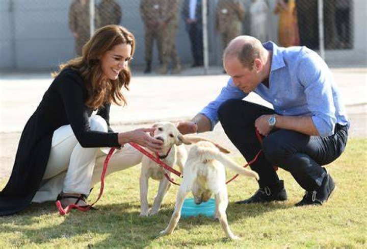 Pregnant Kate Middleton Takes Dog Lupo For A Walk In Hyde Park