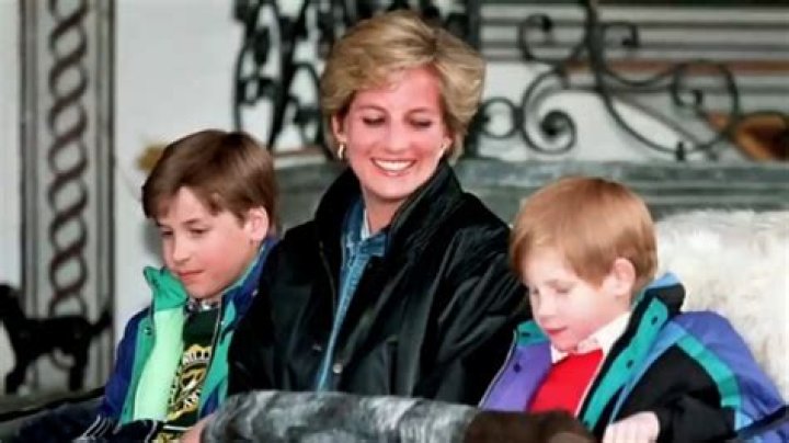 Prince Harry Admits He Thinks Mom Princess Diana Would Be ‘Sad’ Over His Rift With William