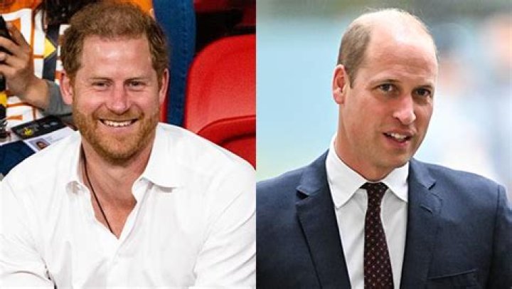 Prince Harry Mocks Williams’ ‘Alarming’ Hair Loss In Memoir, ‘Spare’ – Hollywood Life