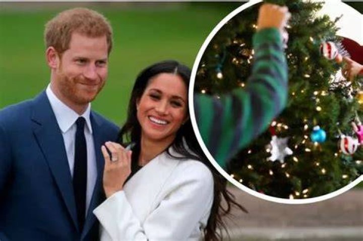 Prince Harry Reportedly Mistaken For Christmas Tree Salesman While Holiday Shopping With Meghan Markle
