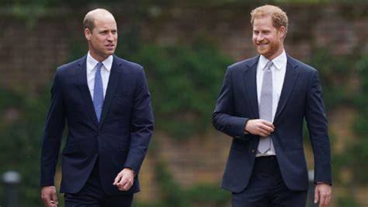 Prince Harry Shades Prince William In Part 2 Trailer Of Docuseries – Hollywood Life