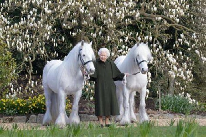 Queen Elizabeth Celebrates 96th Birthday With Her 2 Majestic Ponies – Hollywood Life