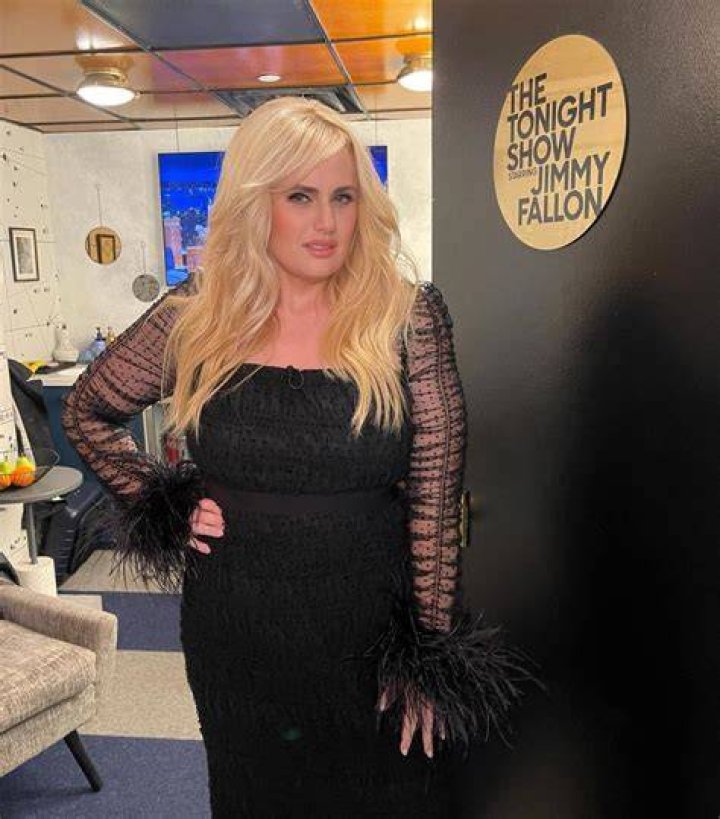 Rebel Wilson Looks Incredible In A Plunging Black Swimsuit For Surf Lesson — New Pics