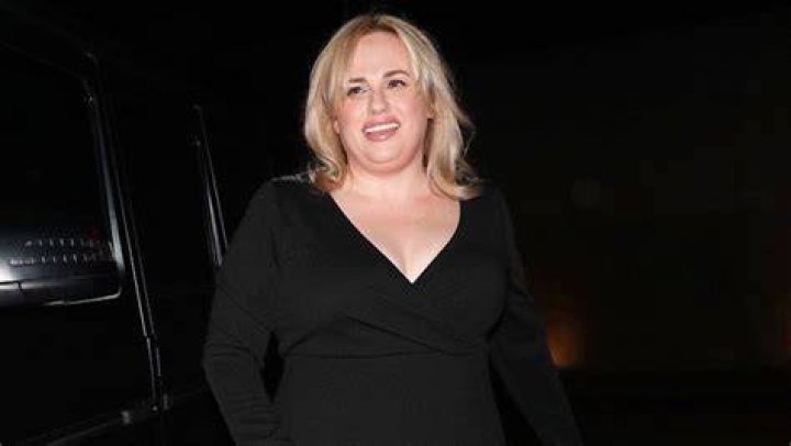 Rebel Wilson On The ‘Bridesmaids’ Role She Almost Played: Interview – Hollywood Life