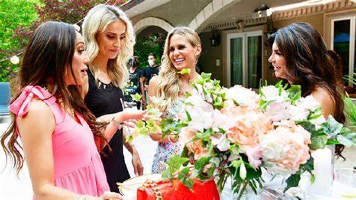 ‘RHONJ’ Newbie Traci Lynn Johnson Talks Teresa & Margaret Fight – Hollywood Life