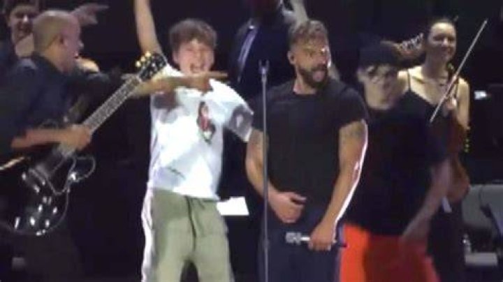 Ricky Martin’s Twin Sons Surprise Him On Stage During Concert – Hollywood Life