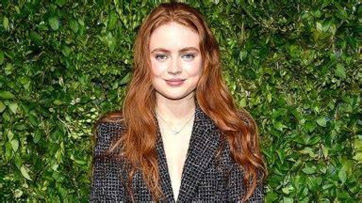 Sadie Sink Hints Max Survives Season 4 Finale – Hollywood Life