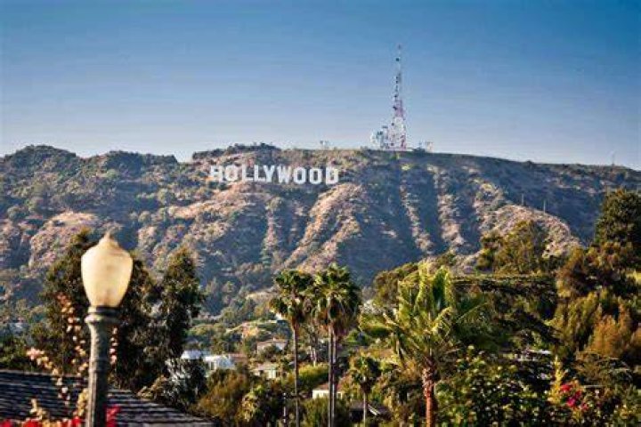 See her Best Pictures – Hollywood Life