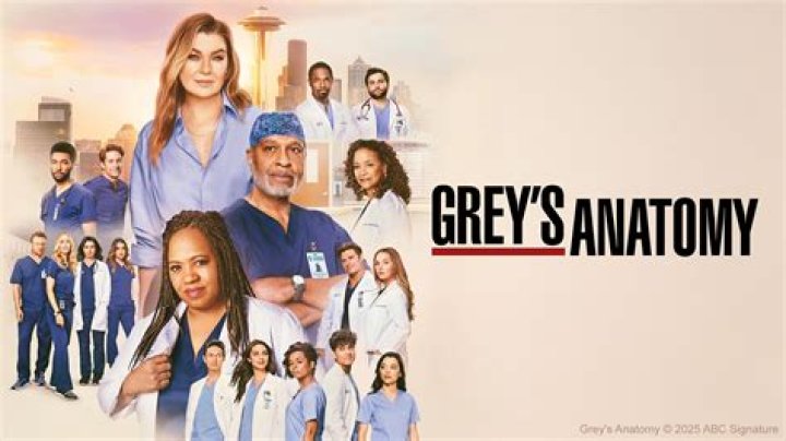 See The ‘Grey’s Anatomy’ Star – Hollywood Life